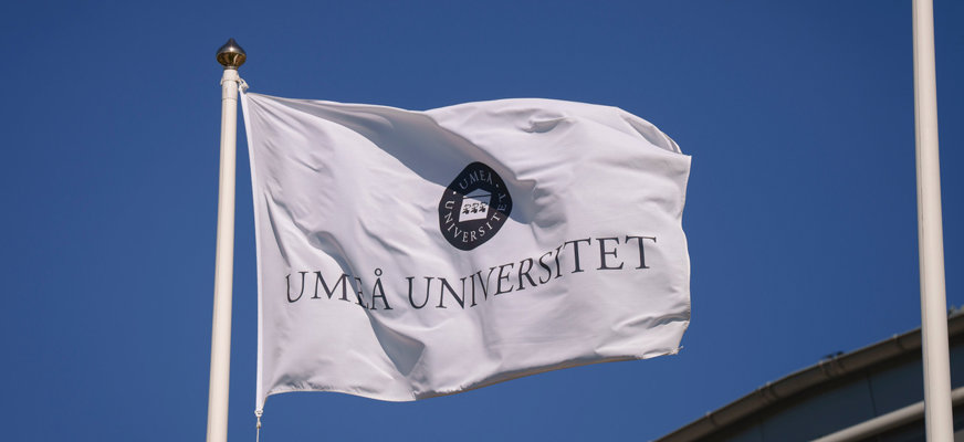 En flagga med texten ”Umeå universitet” mot blå himmel.