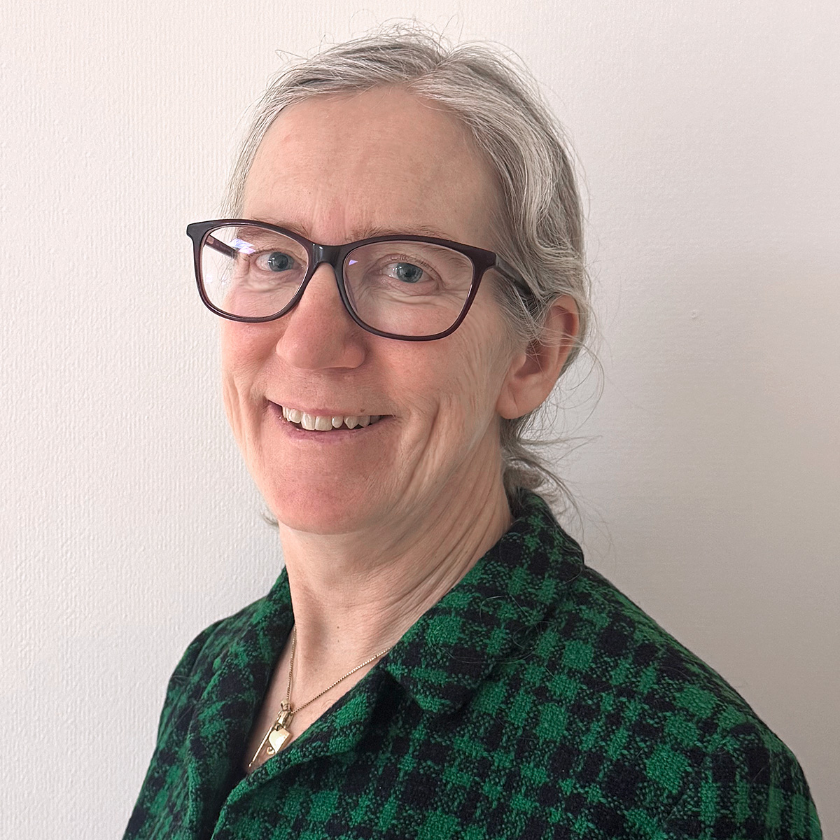 Porträttbild av Kari Agger. Hon har grått hår uppsatt i nacken med några slingor som faller över öronen. Kari bär glasögon med mörka bågar och en rutig kavaj i grönt och svart.