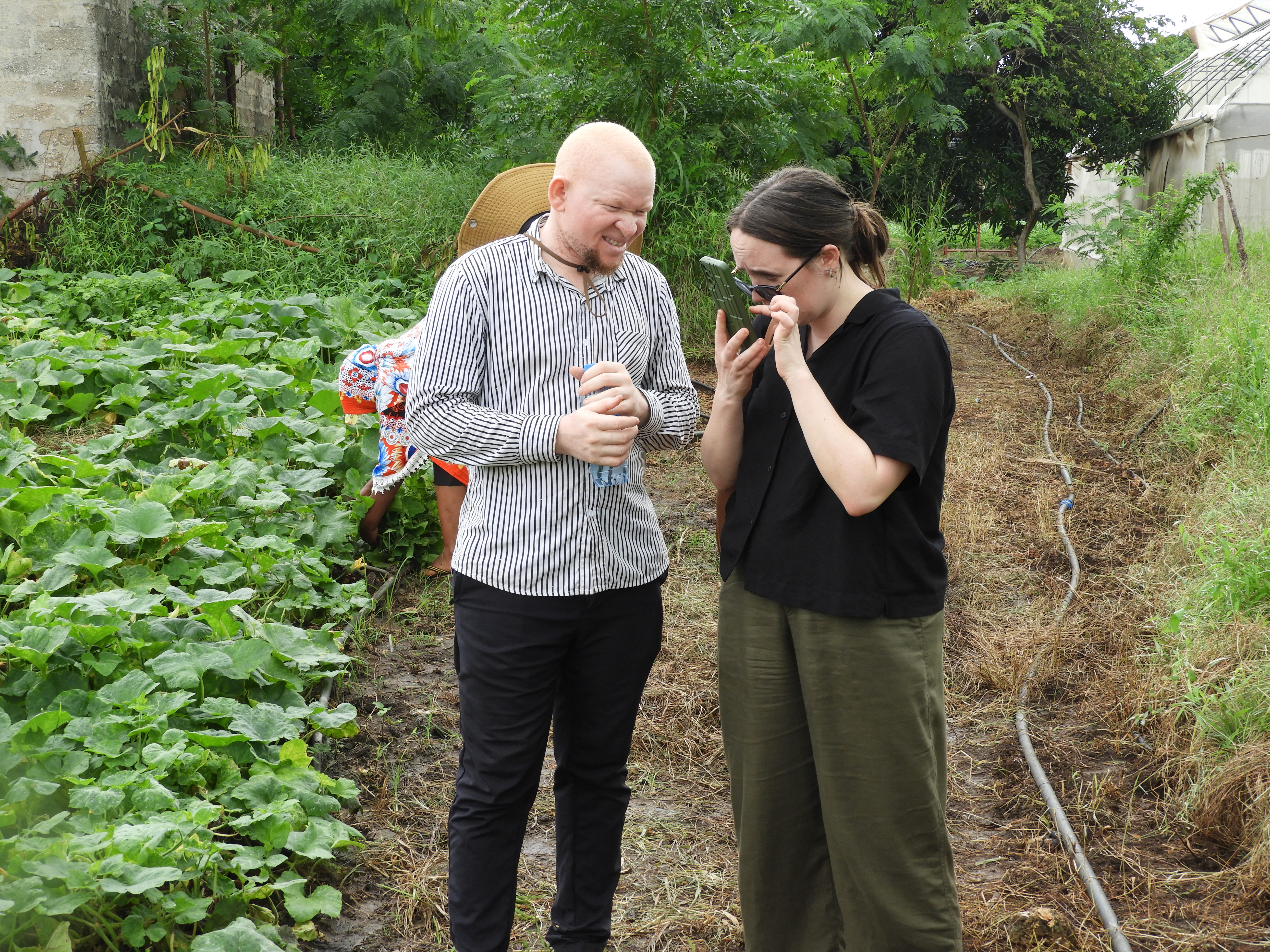 Två personer står i ett grönsaksland och kollar på en telefon tillsammans. Den ena personen är svensk och kollar på sin mobilskärm med förstoring. Den andra personen är Tanzanian och har albinism.
