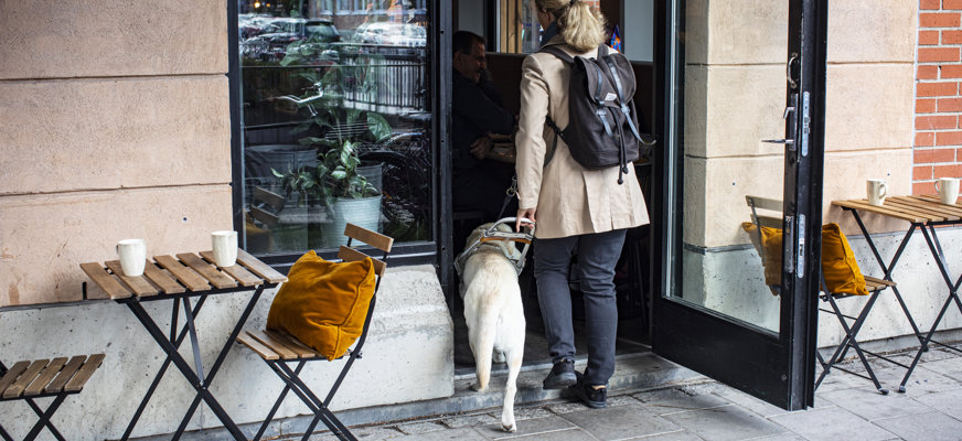 En person iklädd blå jeans går ned för en trappa tillsammans med sin ljusa ledarhundslabrador. Bilden är beskuren så att bara benen på människan syns.