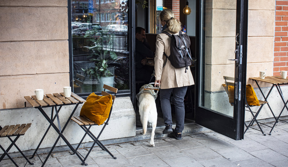 Person med ledarhund påväg in på fik