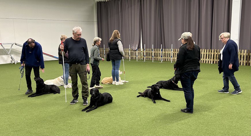 En av övningarna. Kursdeltagarna och hundarna ställde sig i en cirkel med ryggarna inåt mitten av cirkeln. Alla la ner sina hundar, kopplade loss och gick sedan någon meter från hundarna och vände sig om. Hundarna skulle sedan ligga kvar trots diverse störningar i form av bollar och andra leksaker som rullades och kastades. Det blev mycket beröm och godis från mattarna och hussarna.