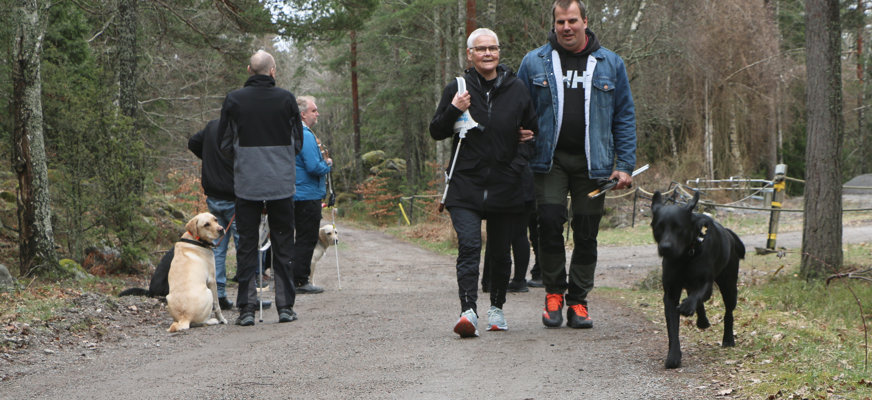 Personer med ledarhundar i skogsmiljö