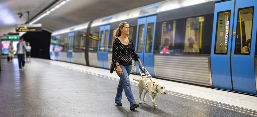 Person med ledarhund på perrong