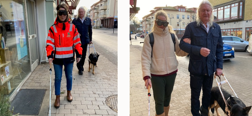 Två bilder. Bild 1: en kvinna bär glasögon med fingerad optik och navigerar med vit käpp. Bild 2: en kvinna blir ledsagad av handledare. Även hon bär glasögon med fingerad optik. Handledaren håller i selen till en ledarhund.