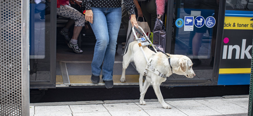 Person med ledarhund går av buss