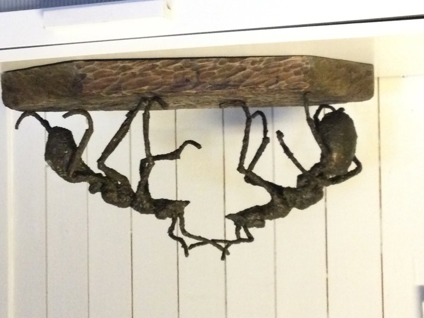 Skulpturen visar två stora, detaljrika insekter – liknande myror – som hänger upp och ner från undersidan av en rektangulär plattform. Plattformen har en stenliknande yta. Insekterna är mörka och texturerade, med böjda ben som ger ett livfullt och krypande intryck. De är arrangerade i en bågform, vilket skapar rörelse och dramatik i verket. Helheten ger ett surrealistiskt och fantasifullt uttryck.