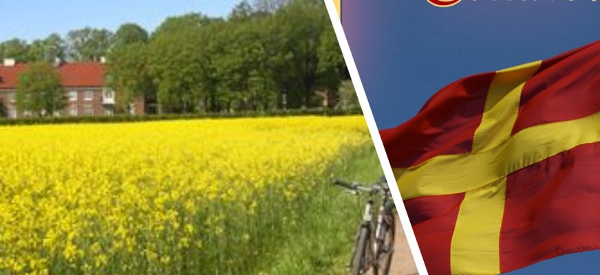 Rapsfält till vänster och Skånes flagga med gult kors och röda partier.