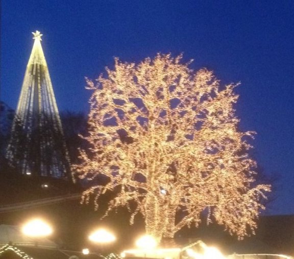 Bilden visar en kväll på Liseberg. Det är mörkt ute, men området är upplyst av många ljusdekorationer. Ett stort träd är täckt med ljusslingor.