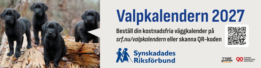 Pluggannons med fyra gula ledarhundsvalpar på en liggande trädstam. Texten lyder: "Valpkalendern 2027. Beställ din kostnadsfria väggkalender på srf.nu/valpkalendern eller skanna QR-koden"