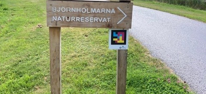 Björnholmarna