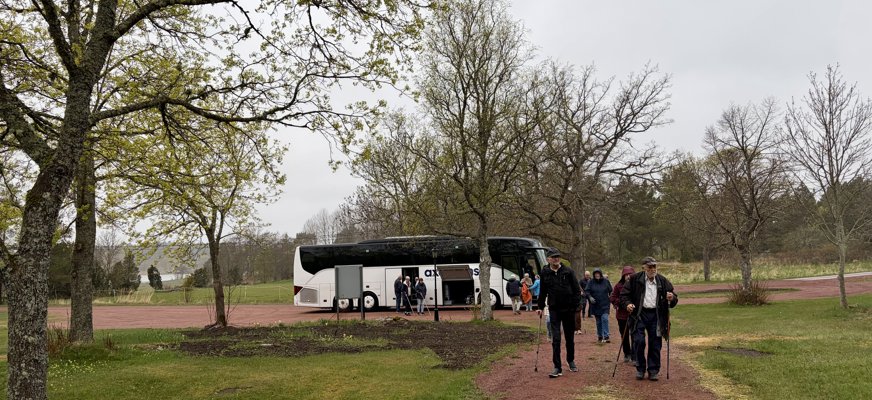 En grupp mestadels äldre människor går längs en rödbrun stig. Stigen kantas av träd och gräs och i bakgrunden skymtar en havsvik. Bakom gruppen syns en vit turistbuss. Det är en mulen dag. 