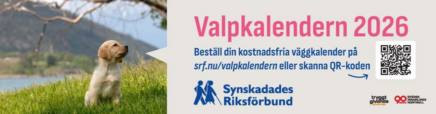 Pluggannons med en gul ledarhundsvalp i grönskande natur. Texten lyder "Valpkalendern 2026. Beställ din kostnadsfria väggkalender på srf.nu/valpkalendern eller skanna QR-koden.