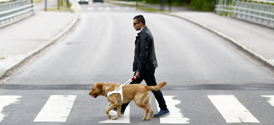 Person med ledarhund på övergångsställe