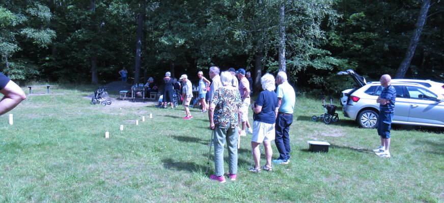 En grupp människor spelar Kubb på en gräsmatta i skogsmiljö.