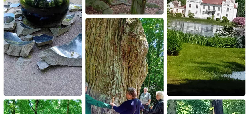 Ett collage med olika bilder från skulpturparken.