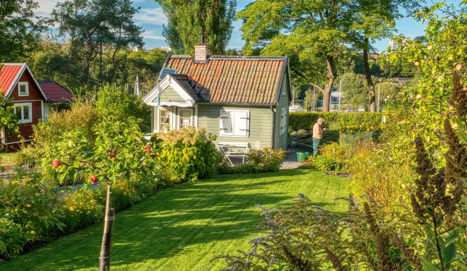 En man påtar i trädgården utanför ett litet grönt hus. Trädgården är lummig och har äppelträd, nyklippt gräsmatta och massor av blommor.