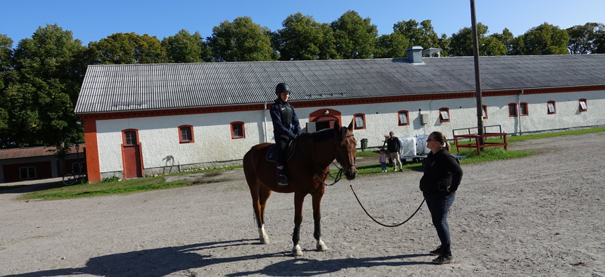 Person på häst